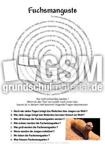 Fuchsmanguste.pdf